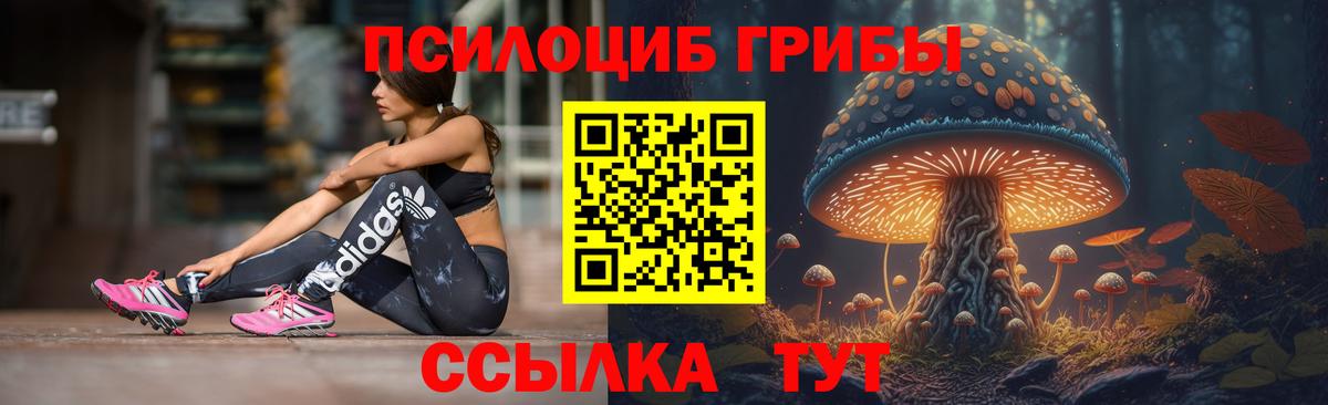 Псилоцибиновые грибы Cubensis  Вход с VPN  Галлюциногенные грибы ЛСД  Красноармейск 